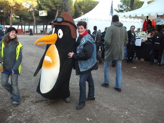 BIBI A TROUVE SON PINGOUINS